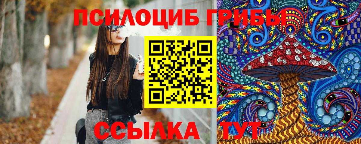 Галлюциногенные грибы MAGIC MUSHROOMS Чернушка
